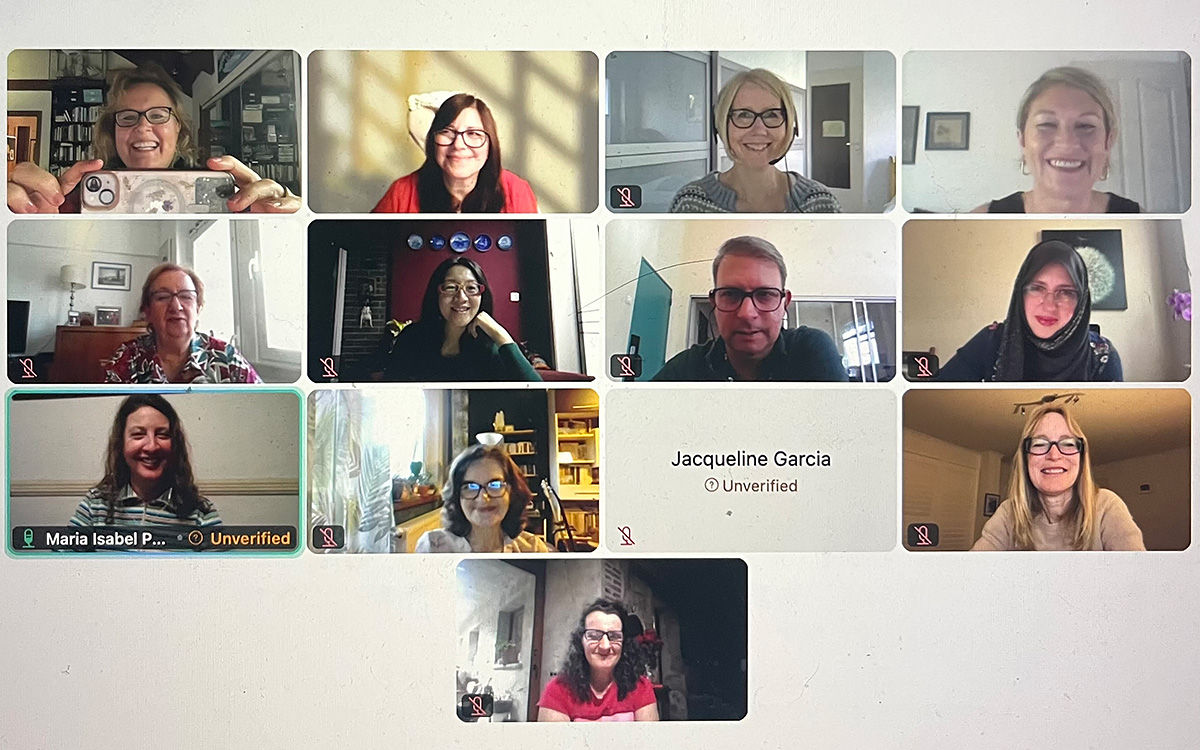 A photo of a dozen working group members on a virtual meeting call.